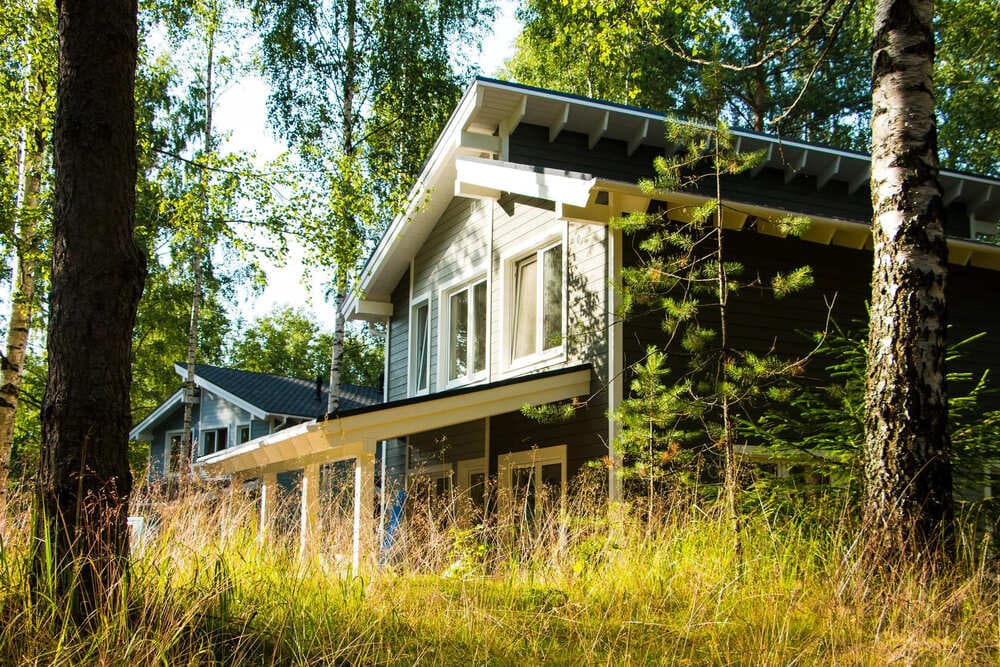 Летний лагерь во Всеволожском районе